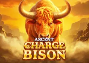Charge Bison Ascent - WinPesa - Kenya