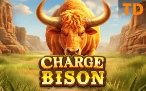 Charge Bison - WinPesa - Kenya