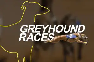 vDogs (Grayhound races) - WinPesa - Kenya