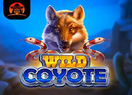 Wild Coyote - WinPesa - Kenya