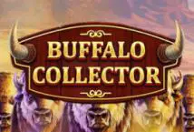 Buffalo Collector - WinPesa - Kenya