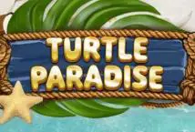 Turtle Paradise - WinPesa - Kenya