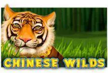 Chinese Wilds - WinPesa - Kenya