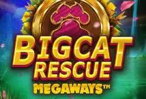 Big Cat Rescue Megaways - WinPesa - Kenya