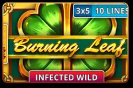 Burning Leaf - WinPesa - Kenya