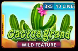 Cactus Grand - WinPesa - Kenya