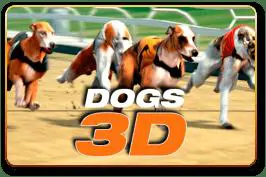 Dogs 3D - WinPesa - Kenya