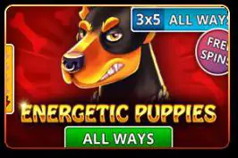 Energetic Puppies - WinPesa - Kenya