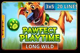 Pawfect Playtime - WinPesa - Kenya