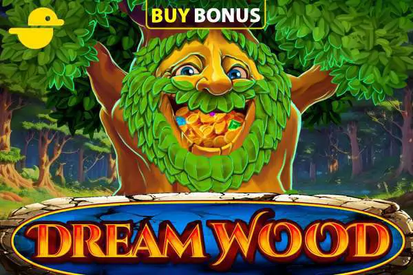 Dreamwood - WinPesa - Kenya