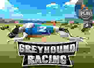 Greyhound Racing