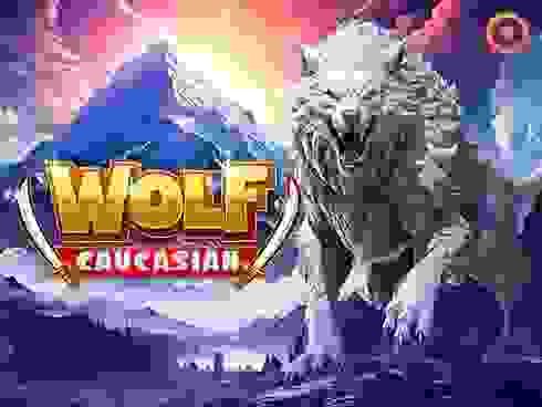 Caucasian Wolf