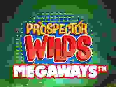 Prospector Wilds Megaways 91