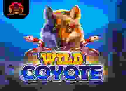 Wild Coyote