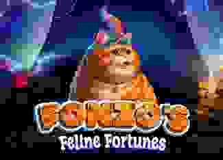 Fonzo's Feline Fortunes