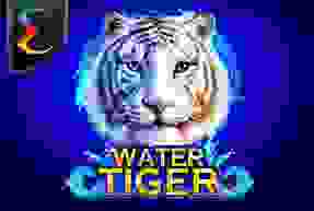 Water Tiger