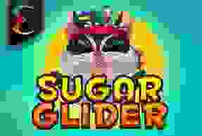 Sugar Glider