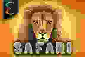 Safari