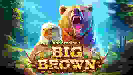 Big Brown