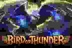 Bird of Thunder