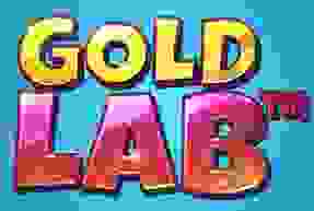 Gold Lab