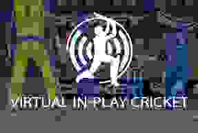 Virtual In-Play Cricket