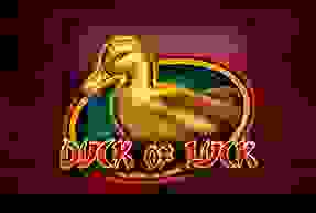 Duck Of Luck