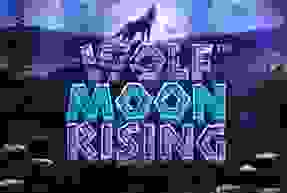 Wolf Moon Rising