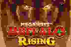 Buffalo Rising Megaways