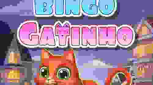 Bingo Gatinho