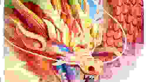 Dragon Legend