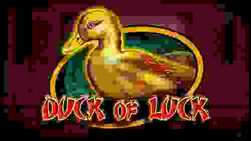 Duck Of Luck