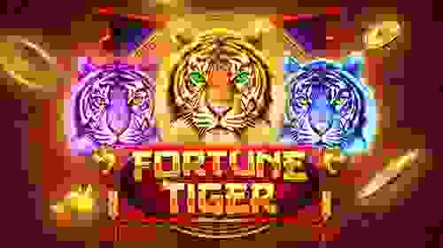 Fortune Tiger