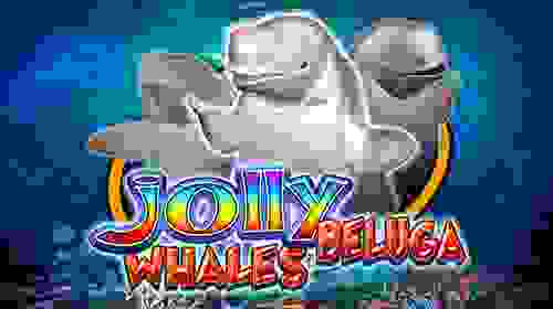 Jolly Beluga Whales