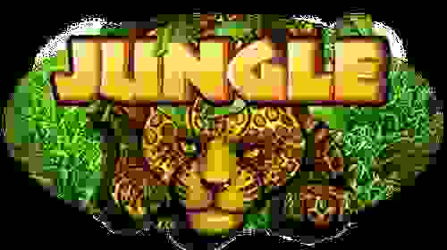 Jungle