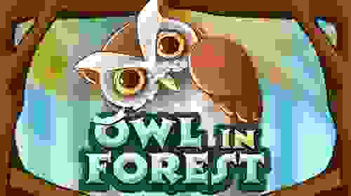 Owl In Forest