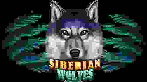 Siberian Wolves