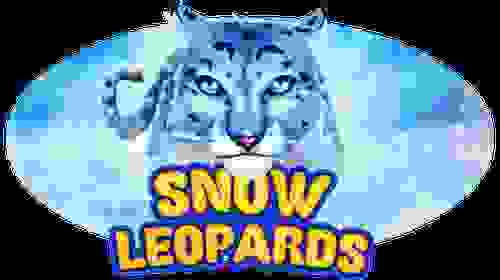Snow Leopards