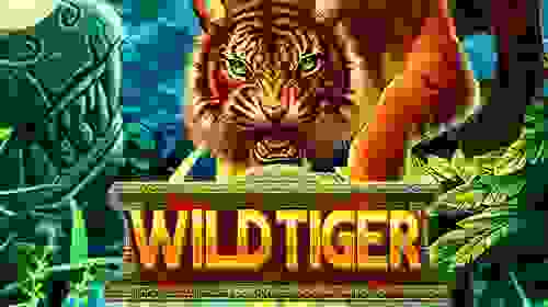 Wild Tiger