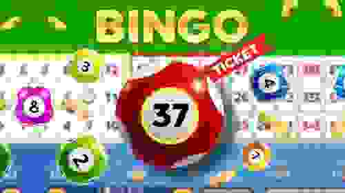 Bingo 37