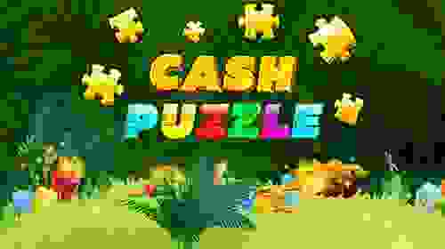 Cash Puzzle