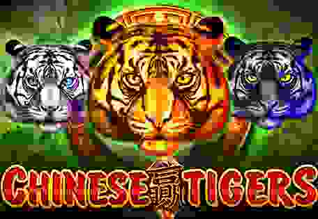 Chinese Tigers