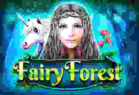 Fairy Forest