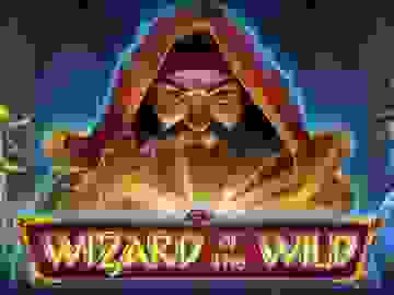 Wizard of the Wild