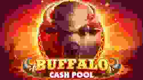 Buffalo: Cash Pool