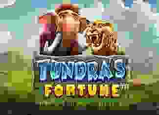 Tundra's Fortune