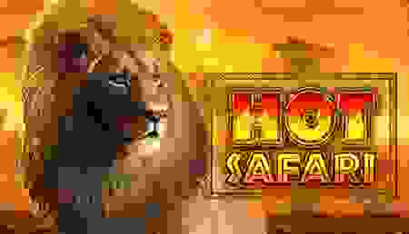 Hot Safari