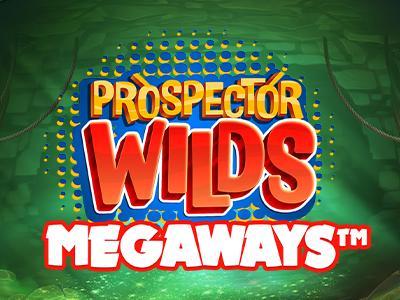 Prospector Wilds Megaways 94