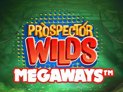 Prospector Wilds Megaways 91