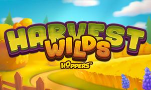 Harvest Wilds